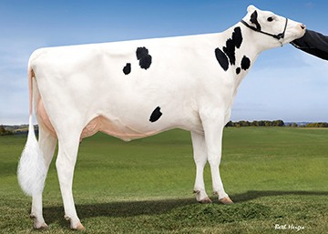 EN_7HO12574 VATLAND MIDGARD-ET